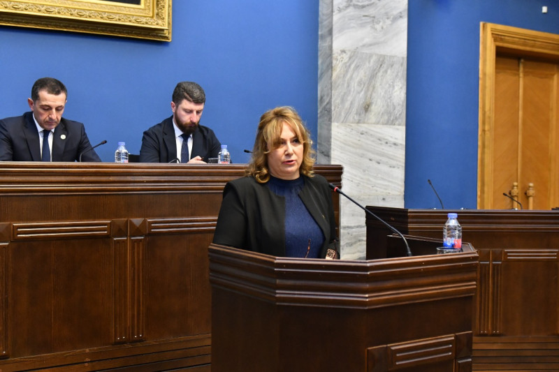 პერსონალურ მონაცემთა დაცვის სამსახურის უფროსმა ლელა ჯანაშვილმა პარლამენტს  2024 წლის საქმიანობის ანგარიში წარუდგინა